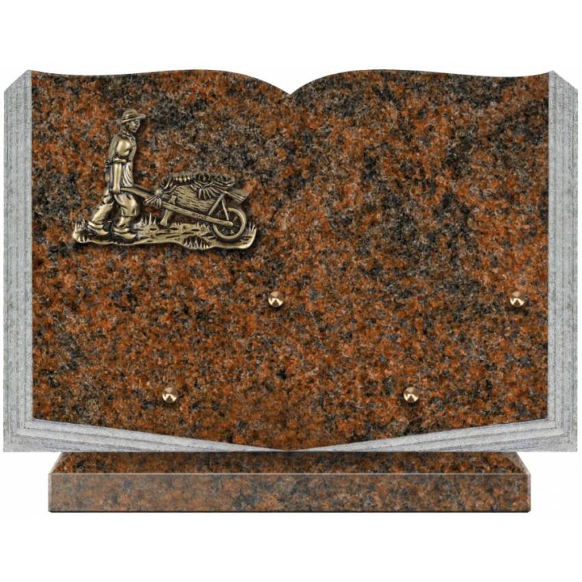 Dolphinix death plaque