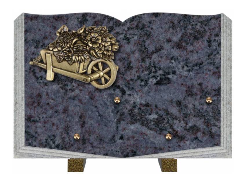 Dolphinix death plaque
