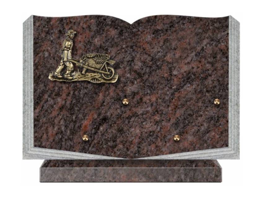 Dolphinix death plaque