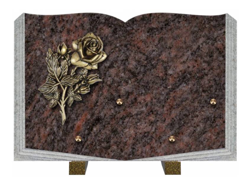 Dolphinix death plaque