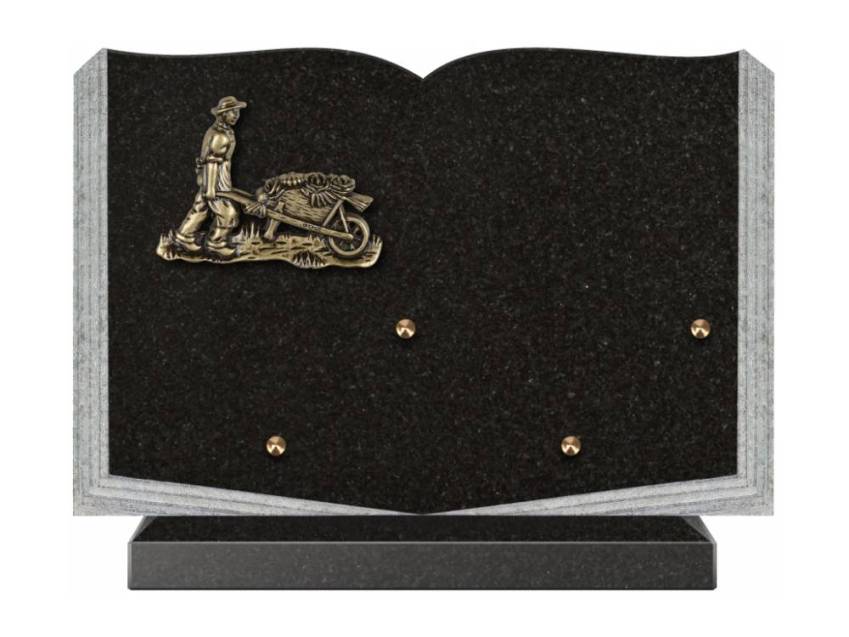 Dolphinix death plaque