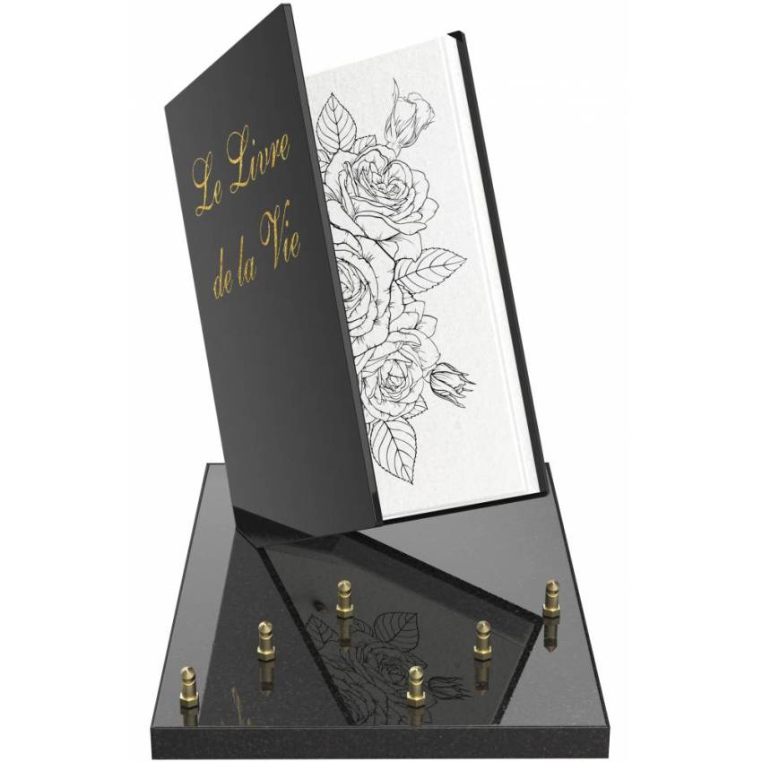 Plaque Granit Livre recueil