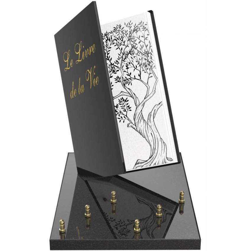 Plaque Granit Livre recueil