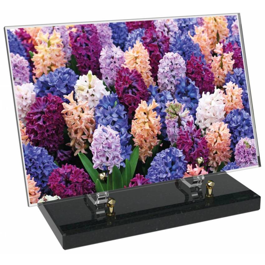 Plaque Plexiglas Rectangle fleurs emblématiques