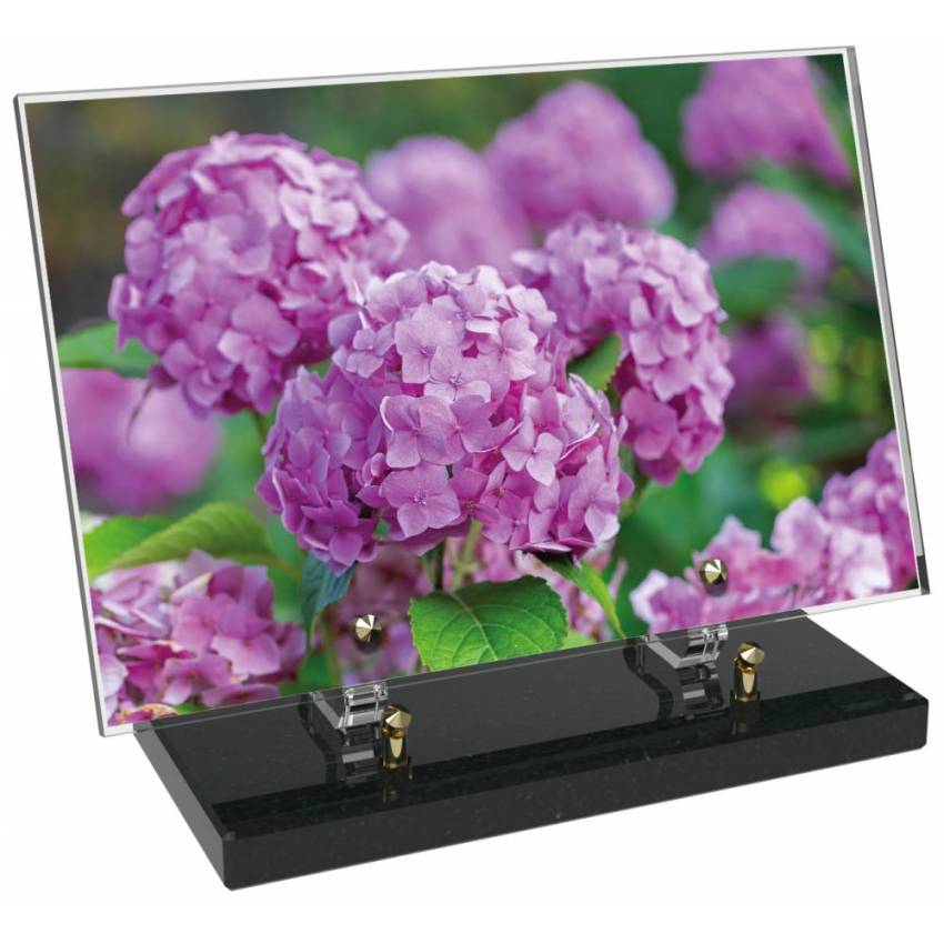 Plaque Plexiglas Rectangle fleurs emblématiques