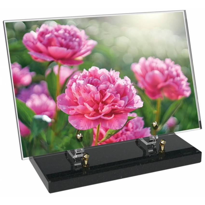 Plaque Plexiglas Rectangle fleurs emblématiques