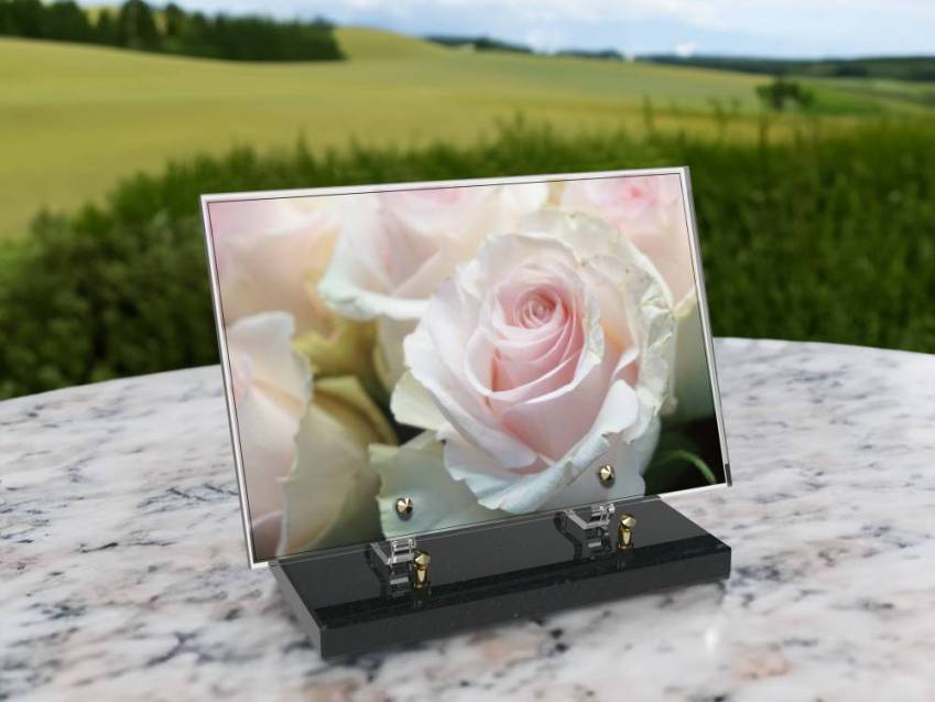 Plaque Plexiglas Rectangle fleurs emblématiques