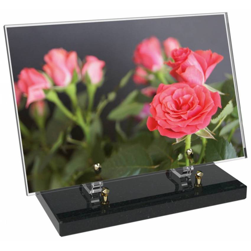 Plaque Plexiglas Rectangle fleurs emblématiques
