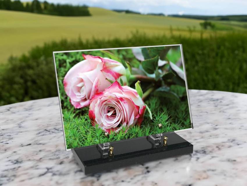 Plaque Plexiglas Rectangle fleurs emblématiques