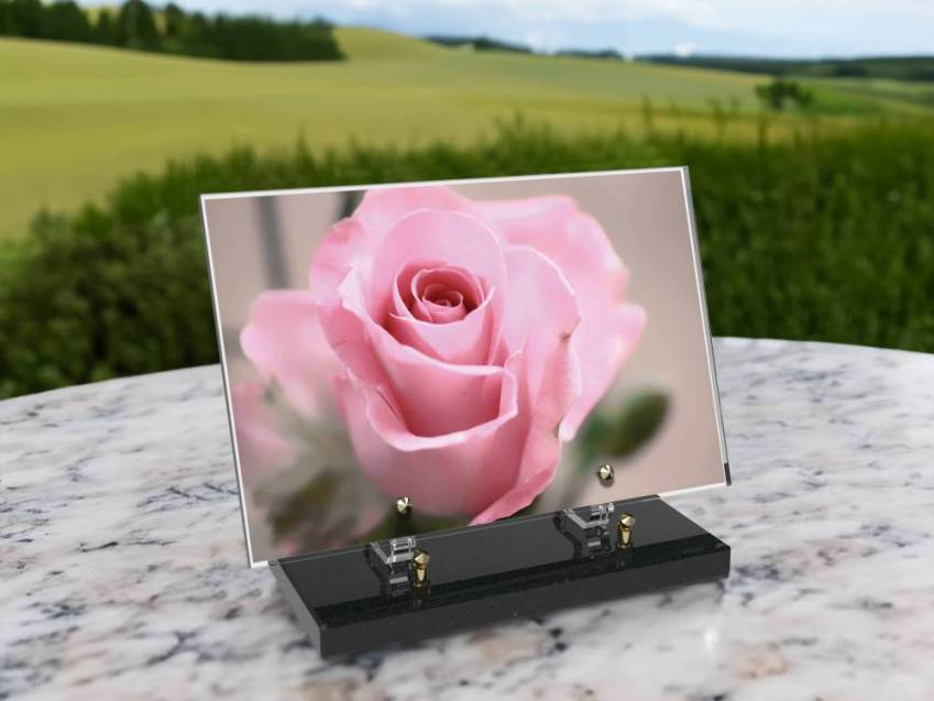 Plaque Plexiglas Rectangle fleurs emblématiques