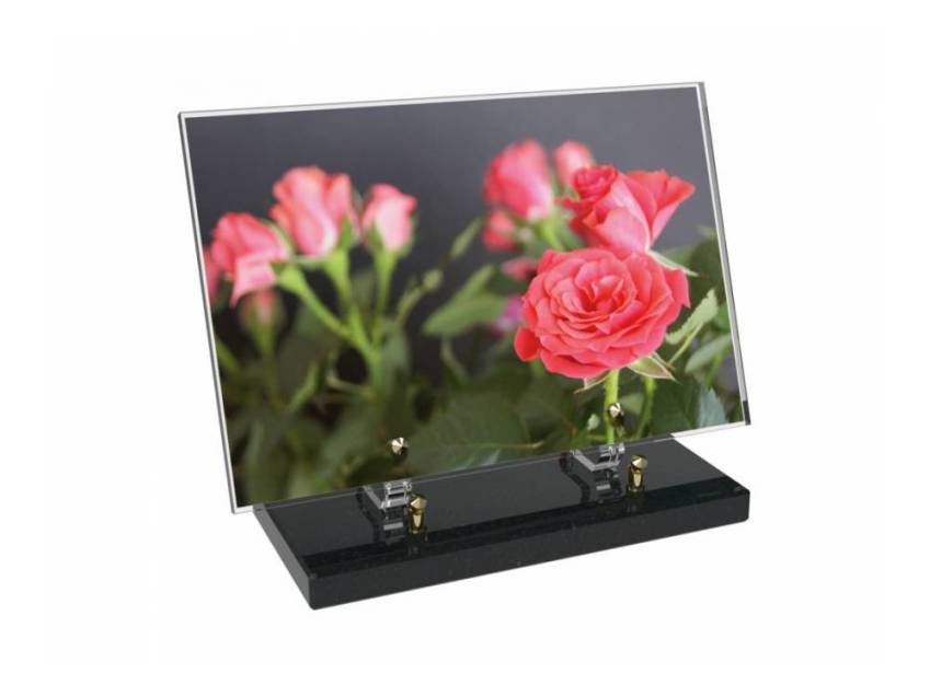 Plaque Plexiglas Rectangle fleurs emblématiques