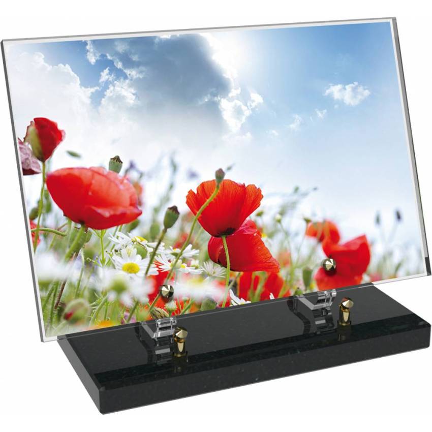 Plaque Plexiglas Rectangle fleurs emblématiques