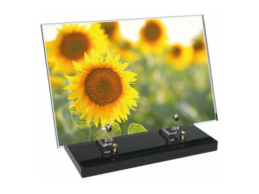 Plaque Plexiglas Rectangle fleurs emblématiques