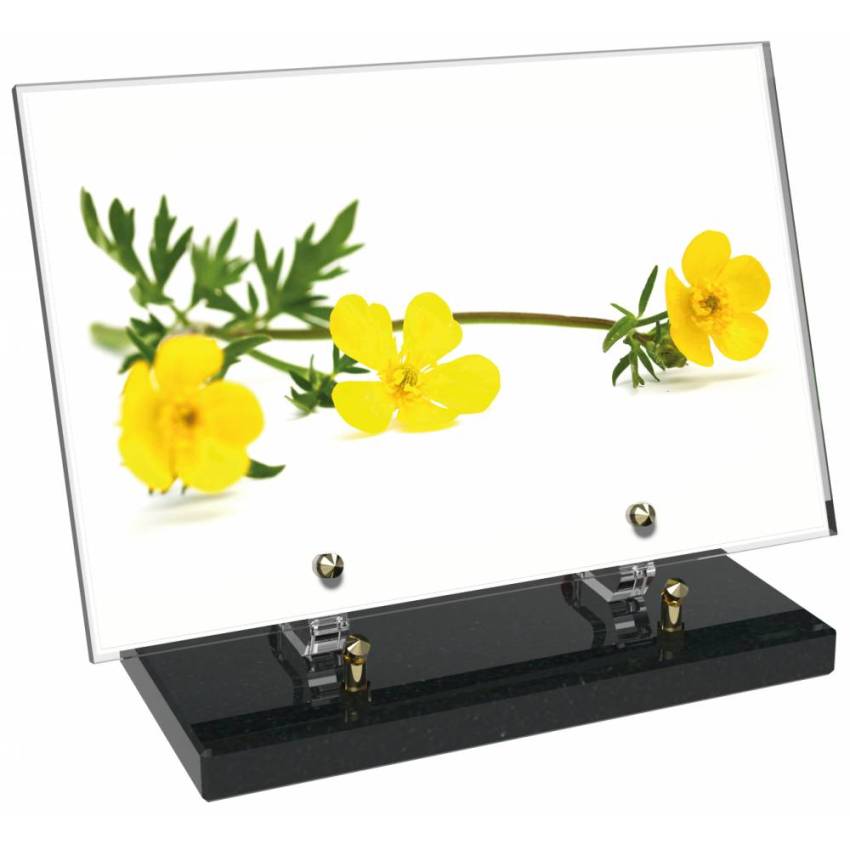 Plaque Plexiglas Rectangle fleurs emblématiques