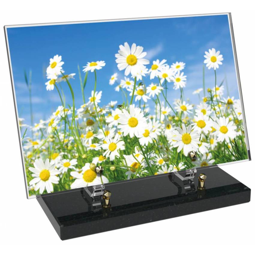 Plaque Plexiglas Rectangle fleurs emblématiques