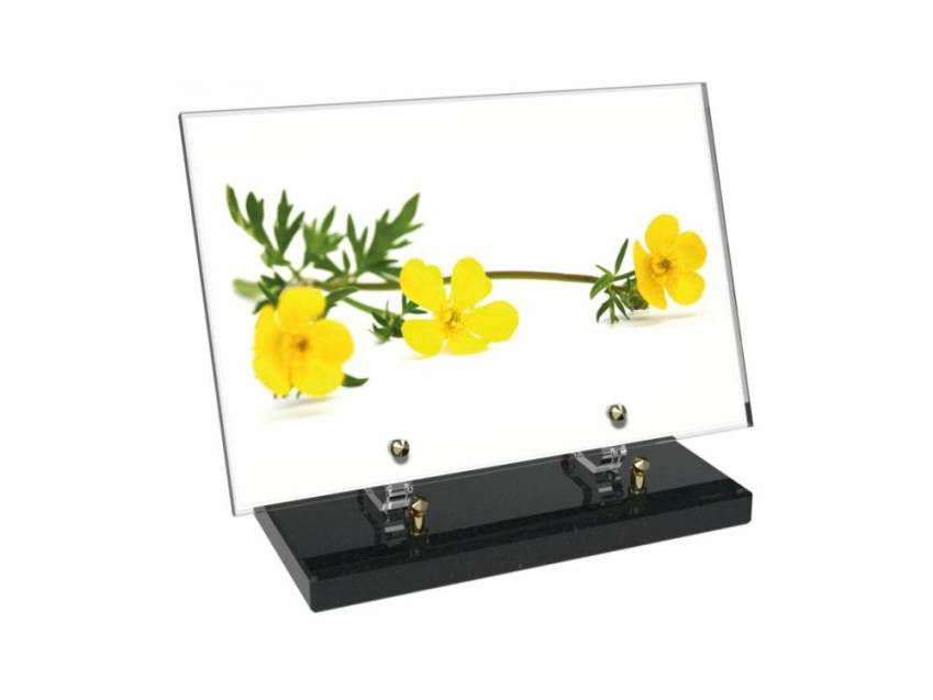 Plaque Plexiglas Rectangle fleurs emblématiques