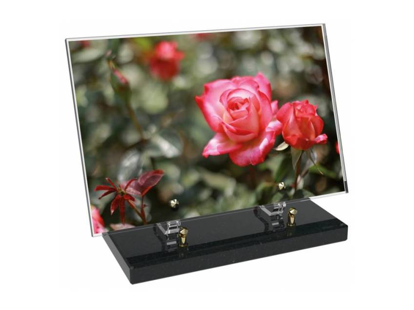 Plaque Plexiglas Rectangle fleurs emblématiques