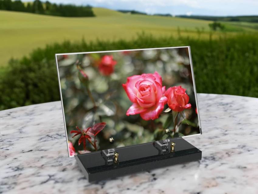 Plaque Plexiglas Rectangle fleurs emblématiques