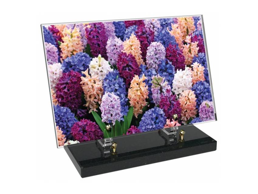 Plaque Plexiglas Rectangle fleurs emblématiques