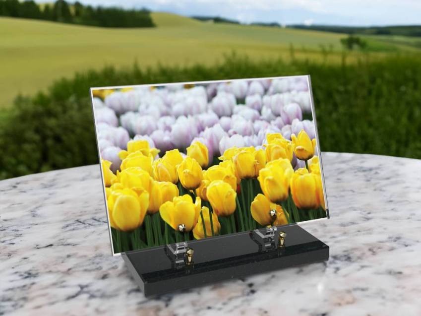 Plaque Plexiglas Rectangle fleurs emblématiques