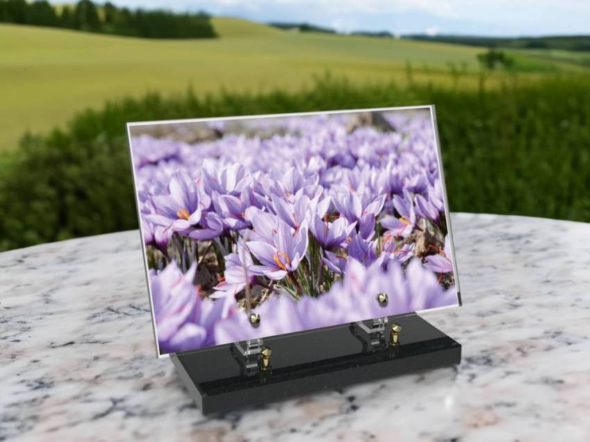 Plaque Plexiglas Rectangle fleurs emblématiques