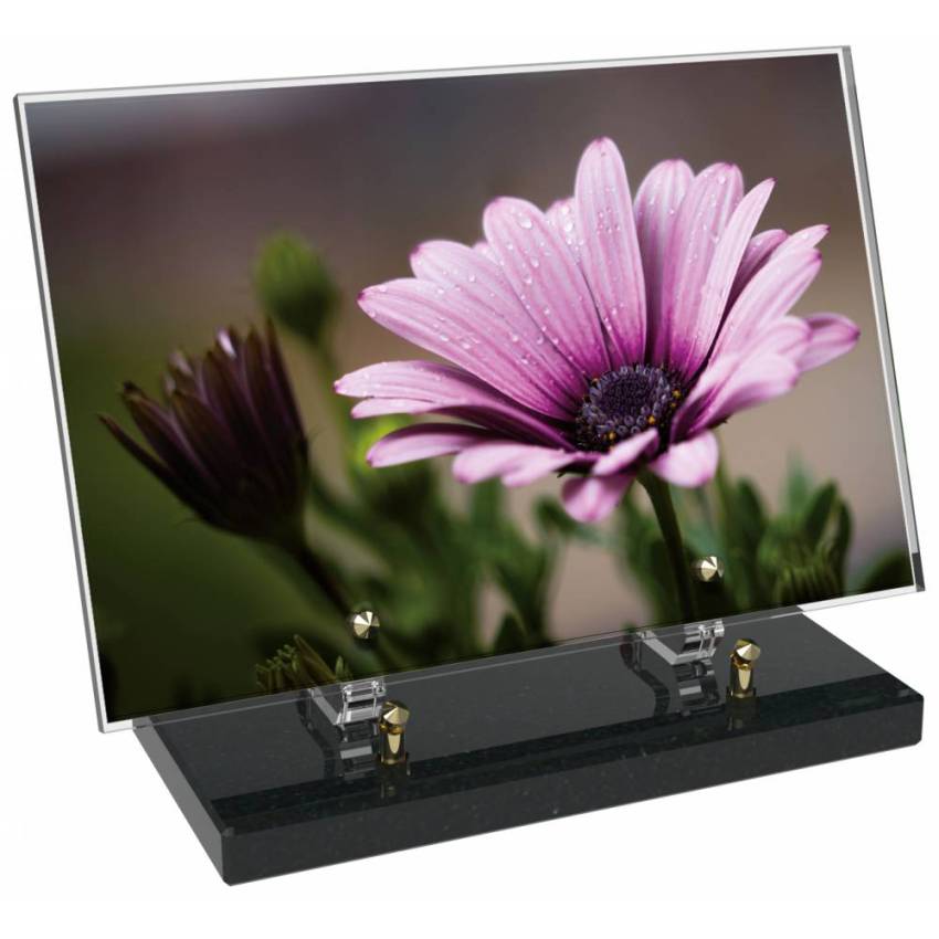Plaque Plexiglas Rectangle fleurs emblématiques