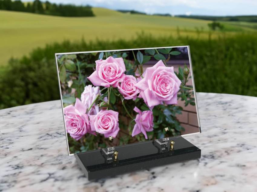 Plaque Plexiglas Rectangle fleurs emblématiques