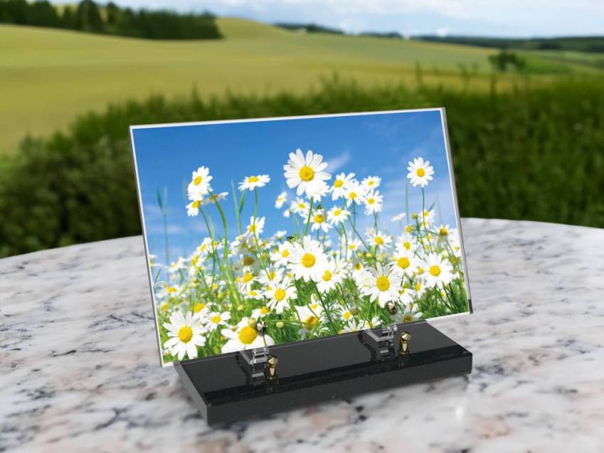 Plaque Plexiglas Rectangle fleurs emblématiques