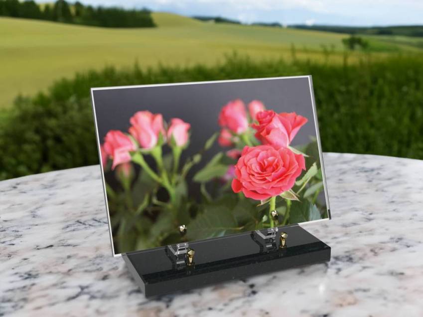 Plaque Plexiglas Rectangle fleurs emblématiques