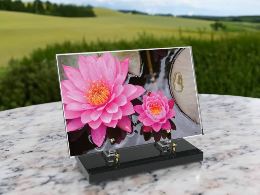 Plaque Plexiglas Rectangle fleurs emblématiques