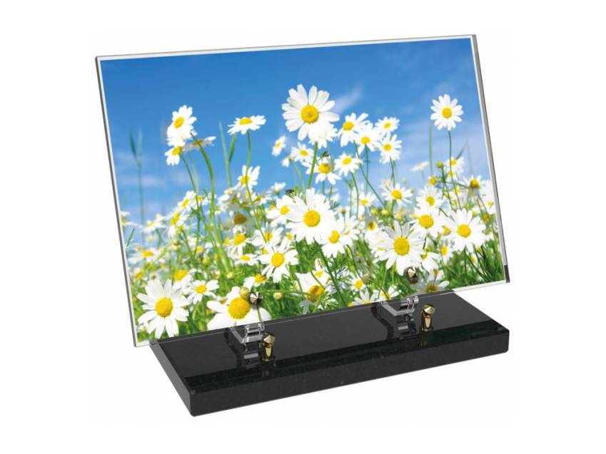 Plaque Plexiglas Rectangle fleurs emblématiques