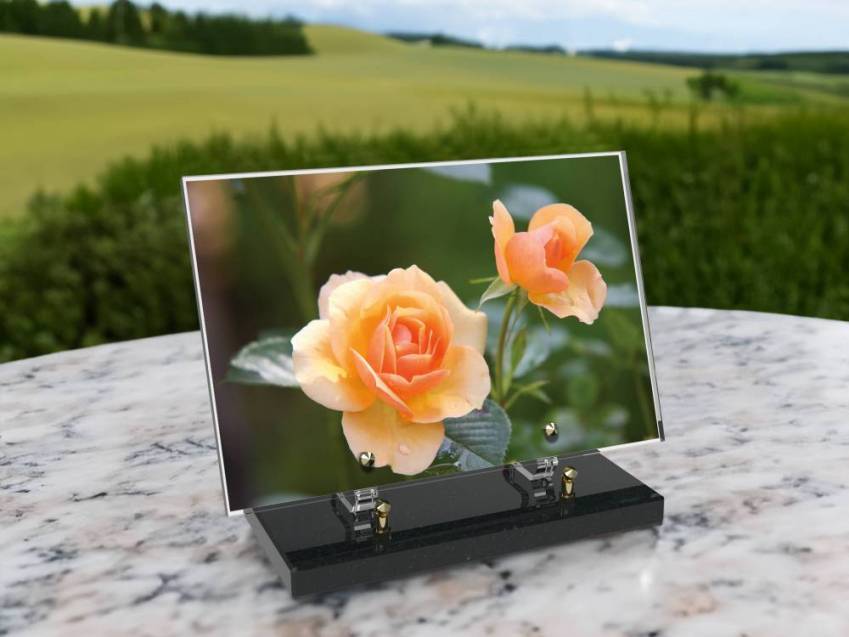 Plaque Plexiglas Rectangle fleurs emblématiques