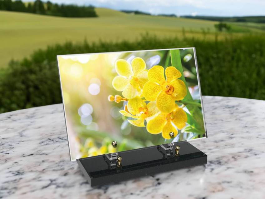 Plaque Plexiglas Rectangle fleurs emblématiques