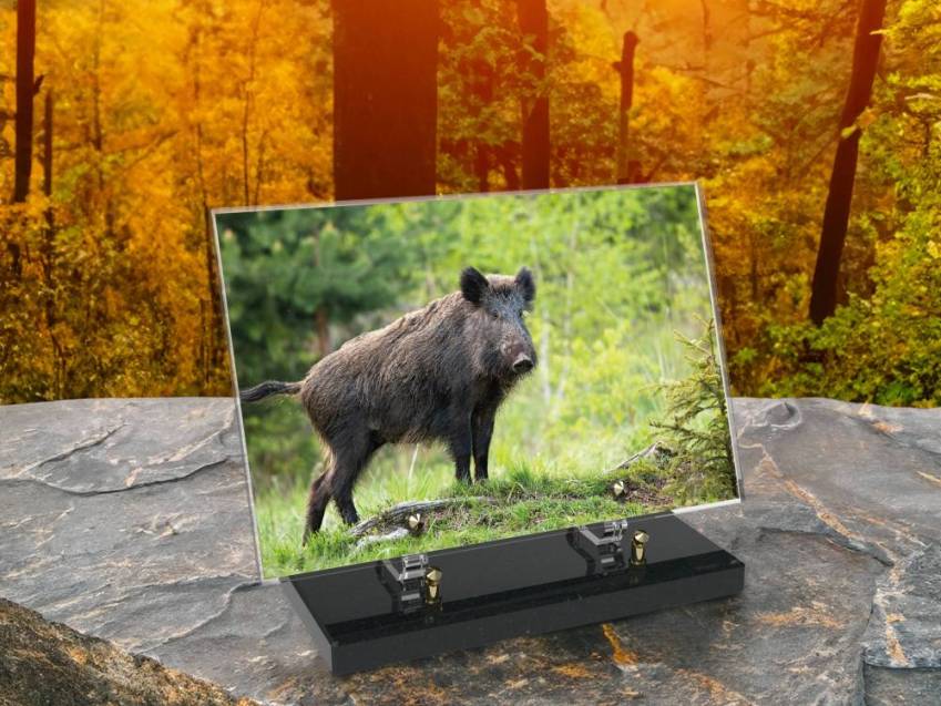 Plaque Plexiglas Rectangle Chasse