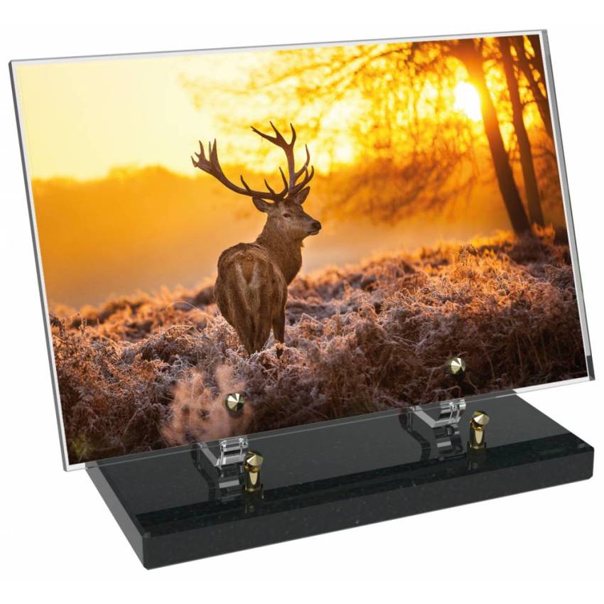 Plaque Plexiglas Rectangle Chasse
