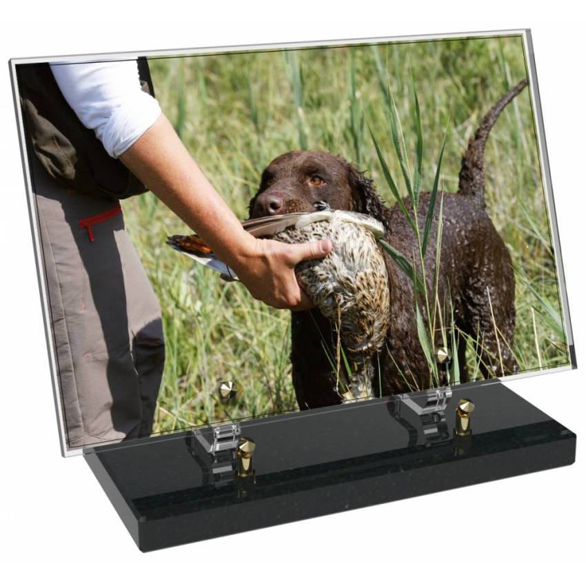 Plaque Plexiglas Rectangle Chasse
