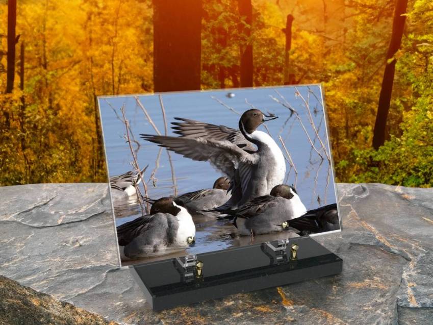 Plaque Plexiglas Rectangle Chasse