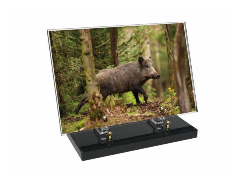 Plaque Plexiglas Rectangle Chasse