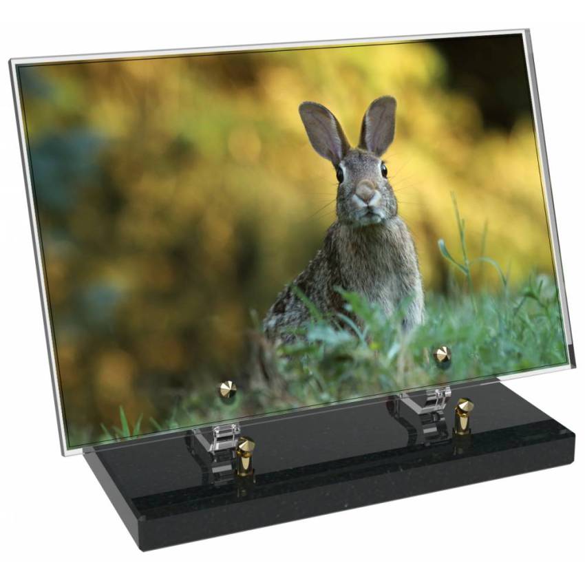 Plaque Plexiglas Rectangle Chasse