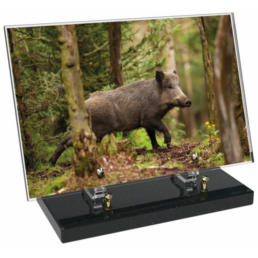 Plaque Plexiglas Rectangle Chasse