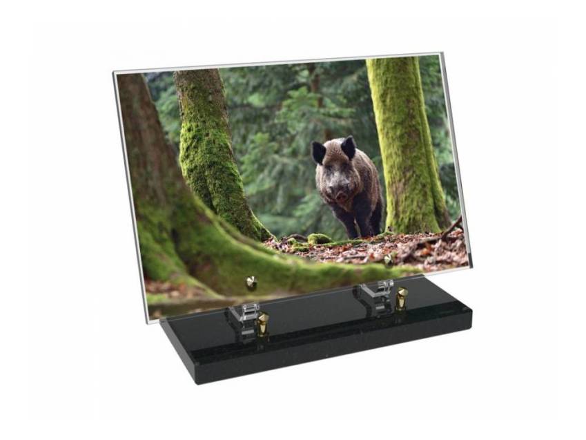 Plaque Plexiglas Rectangle Chasse