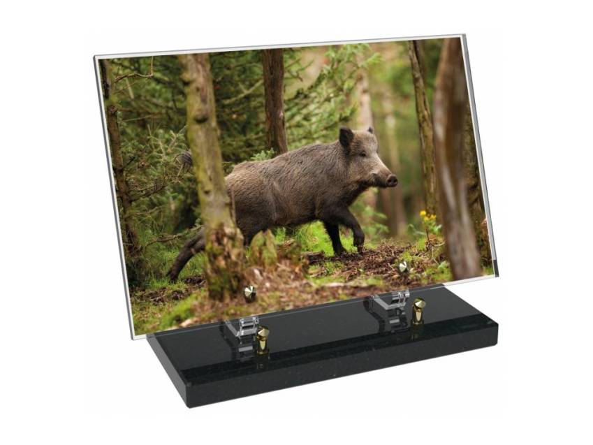 Plaque Plexiglas Rectangle Chasse