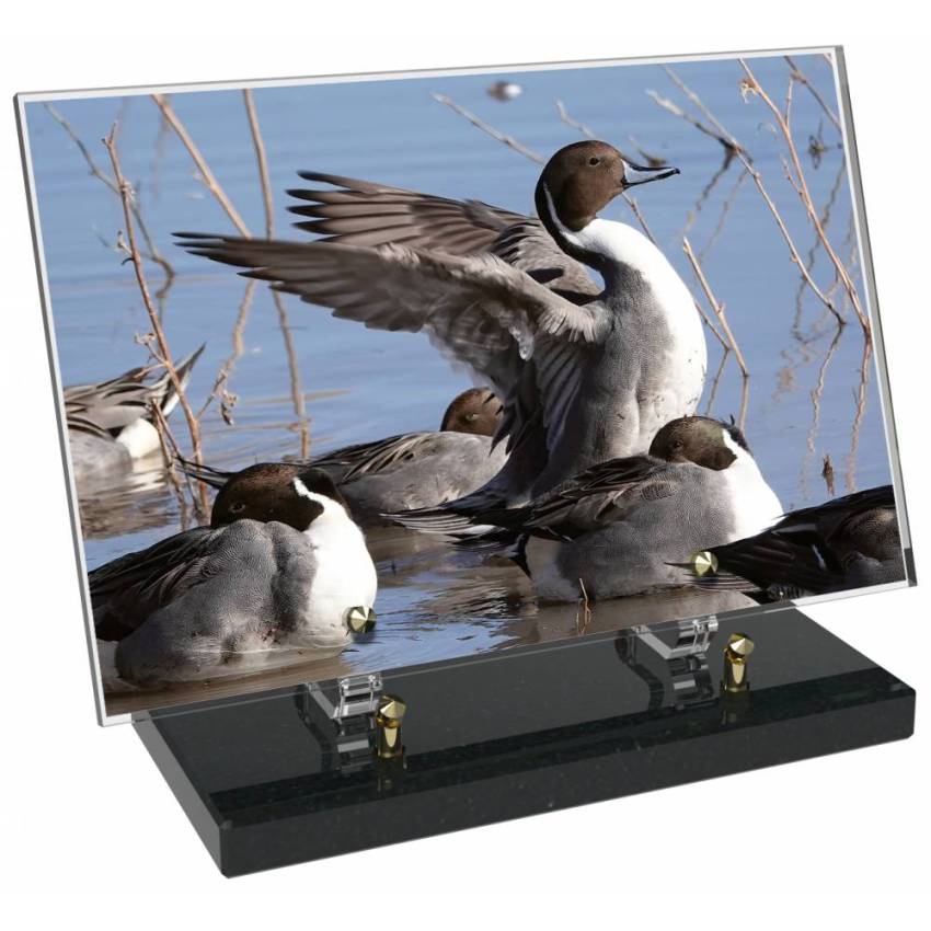 Plaque Plexiglas Rectangle Chasse