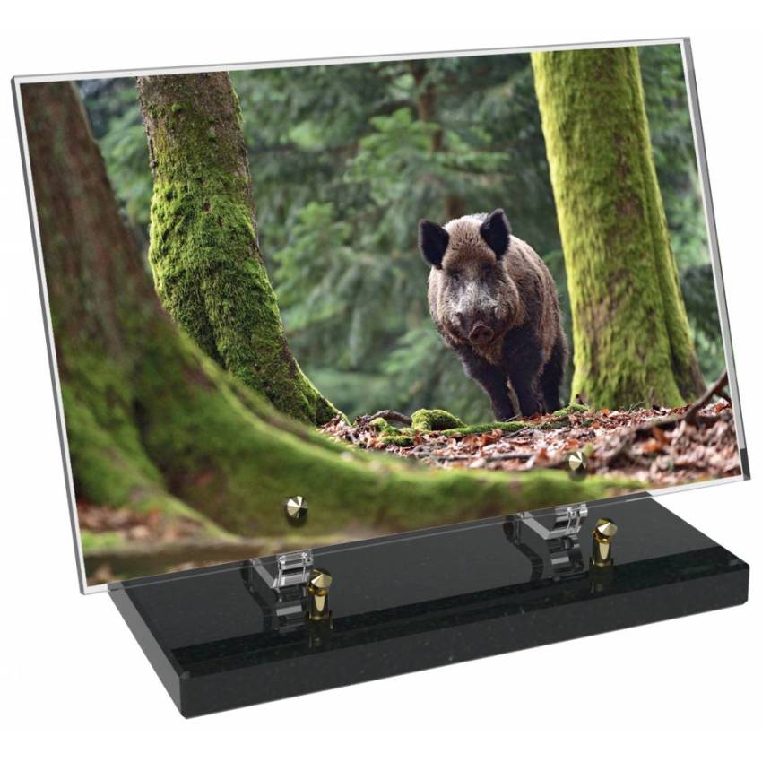 Plaque Plexiglas Rectangle Chasse