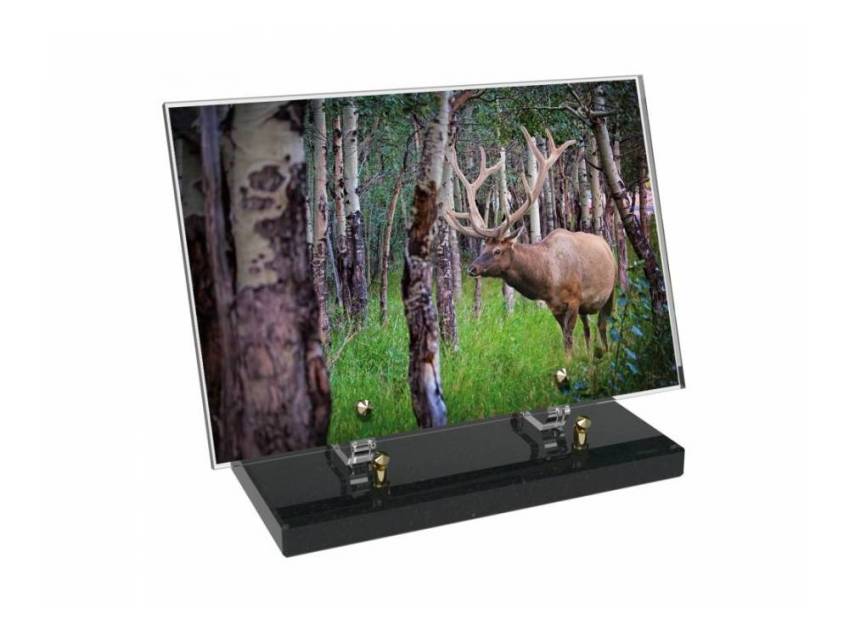 Plaque Plexiglas Rectangle Chasse