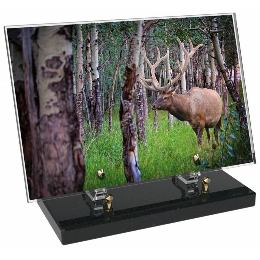 Plaque Plexiglas Rectangle Chasse