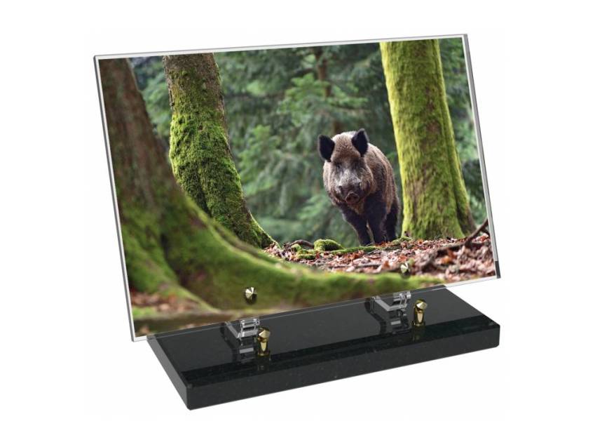 Plaque Plexiglas Rectangle Chasse
