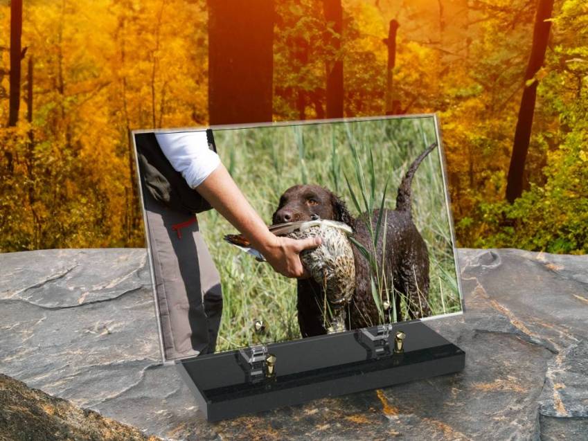 Plaque Plexiglas Rectangle Chasse