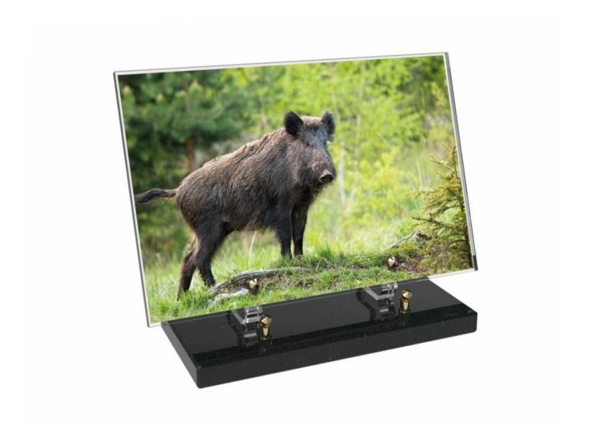 Plaque Plexiglas Rectangle Chasse
