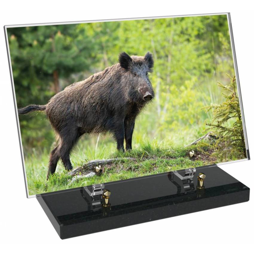 Plaque Plexiglas Rectangle Chasse